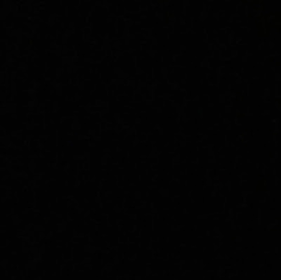 Meet your Posher, Nina - Picture 1 of 1